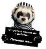 Аватар пользователя