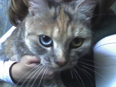 16-10-08_1259.jpg (68.17 KIB) Просмотров: 57859 16-10-08_1259.jpg