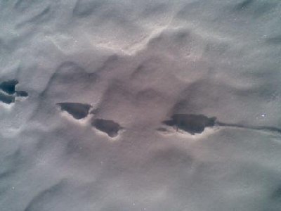 27012008145 1.jpg