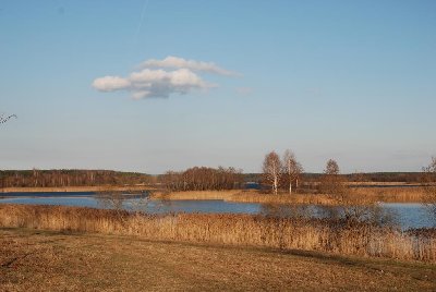 priroda.jpg