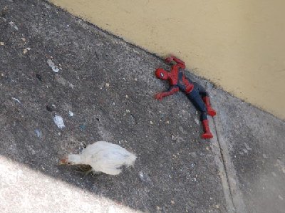 spiderman.jpg