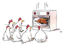 chiken.jpg