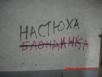 CIMG0503.JPG