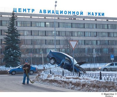 прилетел.jpg