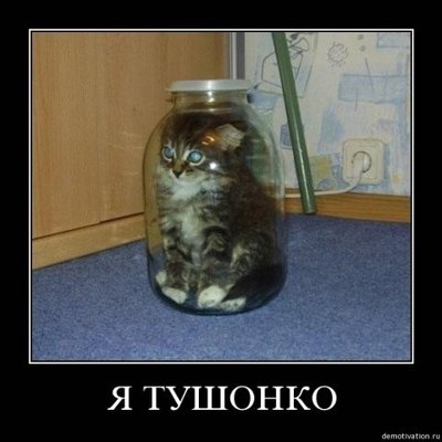 x_127fbc71.jpg