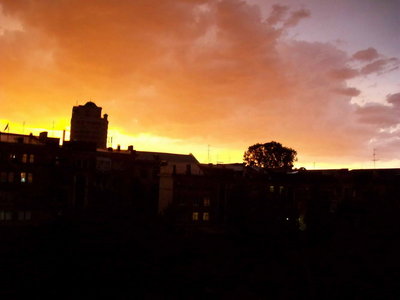 100_0354.jpg