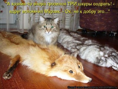 1285237836_1.jpg