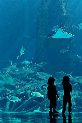 Atlantis-aquarium.jpg