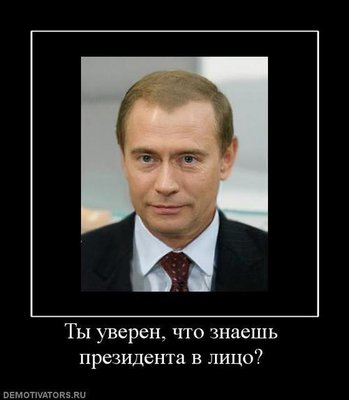 медвепут.jpg
