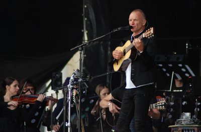 sting.jpg