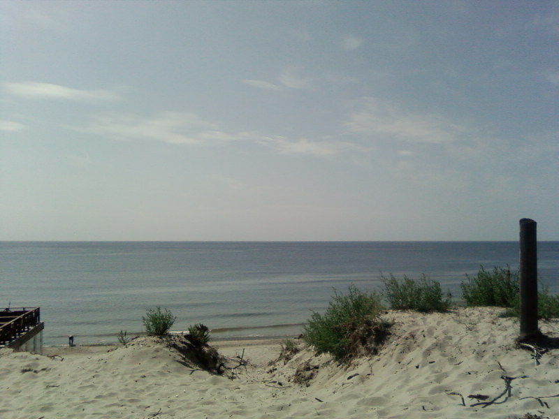 SP_A0514.jpg