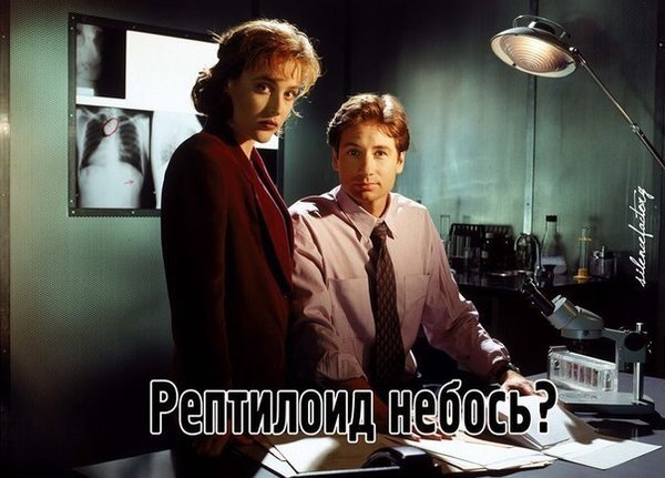 111.jpg (62.26 KIB) Просмотров: 27696 111.jpg