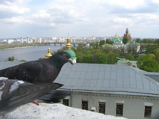 Киев 143.jpg