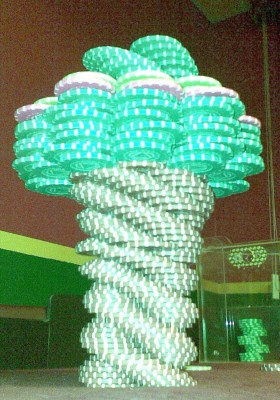 003.JPG